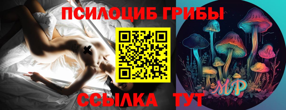Псилоцибиновые грибы прущие грибы  Вход с VPN  Калуга 
